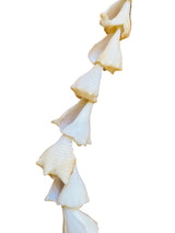Conch Shell Necklace